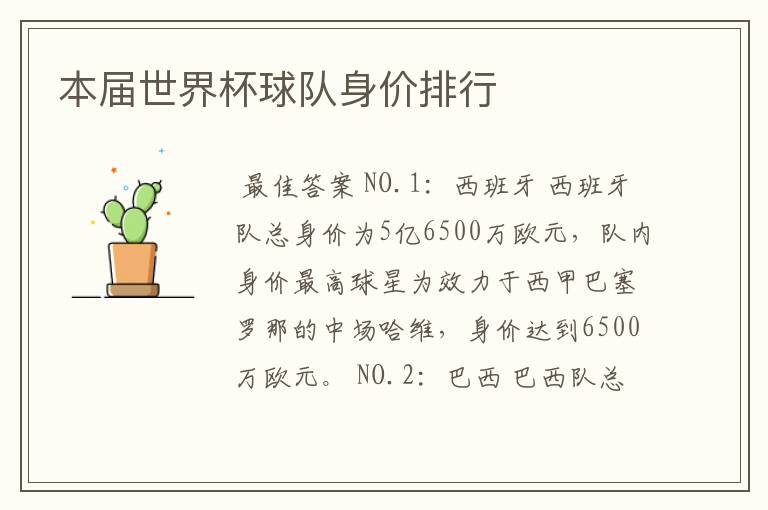 本届世界杯球队身价排行