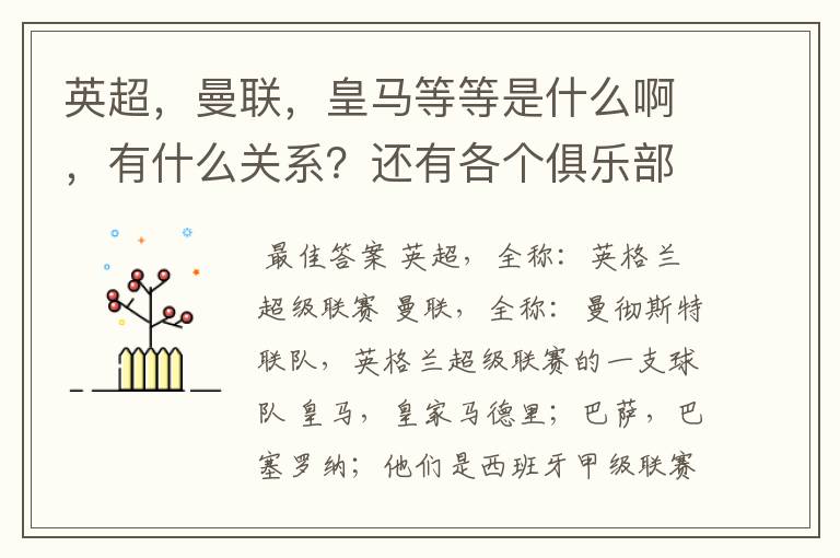 英超,曼联,皇马等等是什么啊,有什么关系?还有各个俱乐部,各个球队之间是什么关系