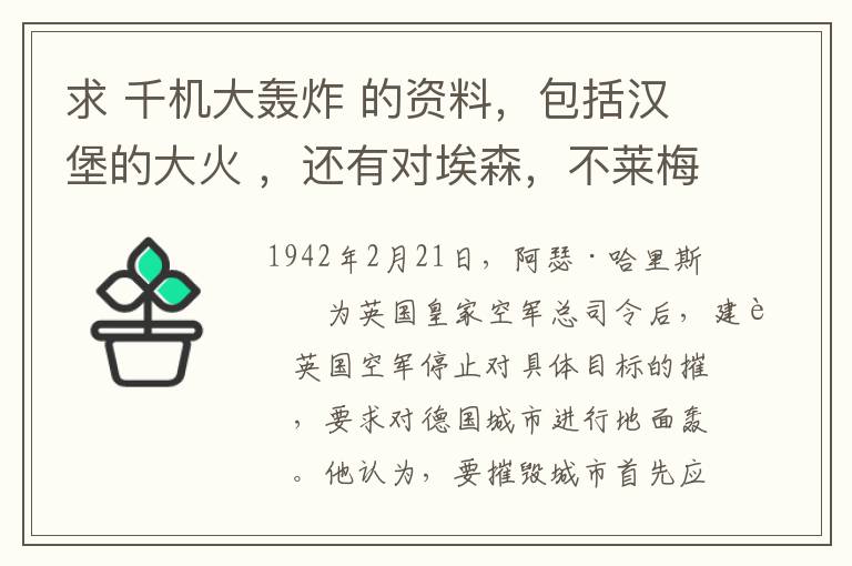 求 千机大轰炸 的资料,包括汉堡的大火 ,还有对埃森,不莱梅轰炸的资料