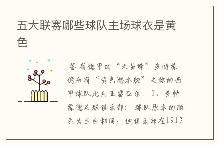 五大联赛哪些球队主场球衣是黄色