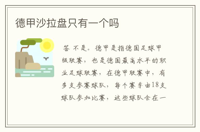 德甲沙拉盘只有一个吗