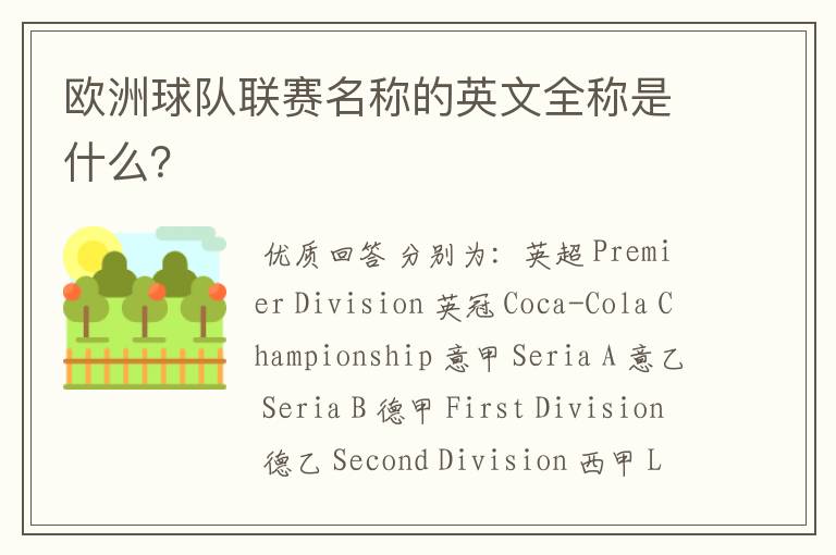 欧洲球队联赛名称的英文全称是什么?