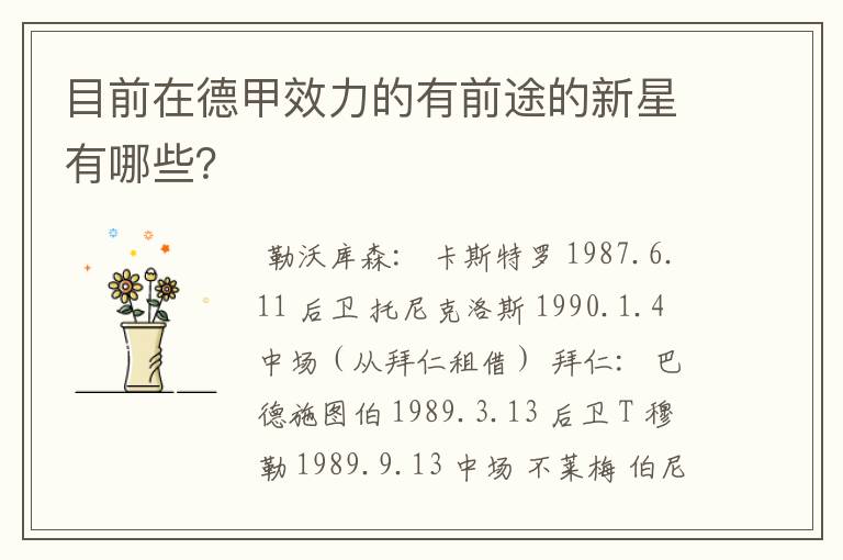 目前在德甲效力的有前途的新星有哪些?