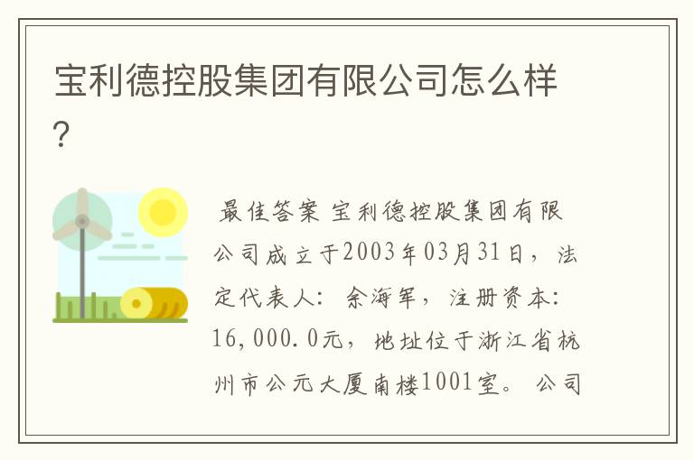 宝利德控股集团有限公司怎么样?