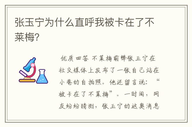 张玉宁为什么直呼我被卡在了不莱梅?