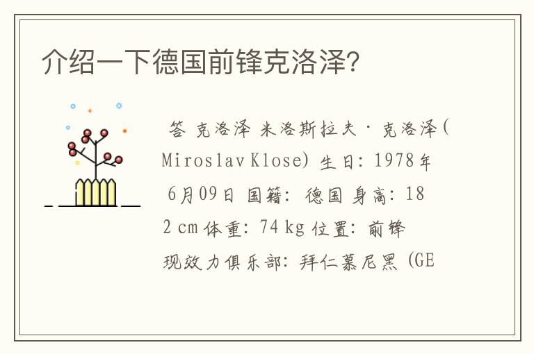 介绍一下德国前锋克洛泽?