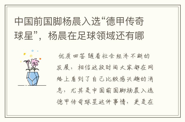 中国前国脚杨晨入选“德甲传奇球星”,杨晨在足球领域还有哪些成就?