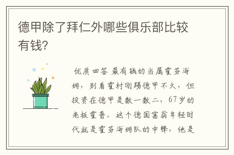 德甲除了拜仁外哪些俱乐部比较有钱?