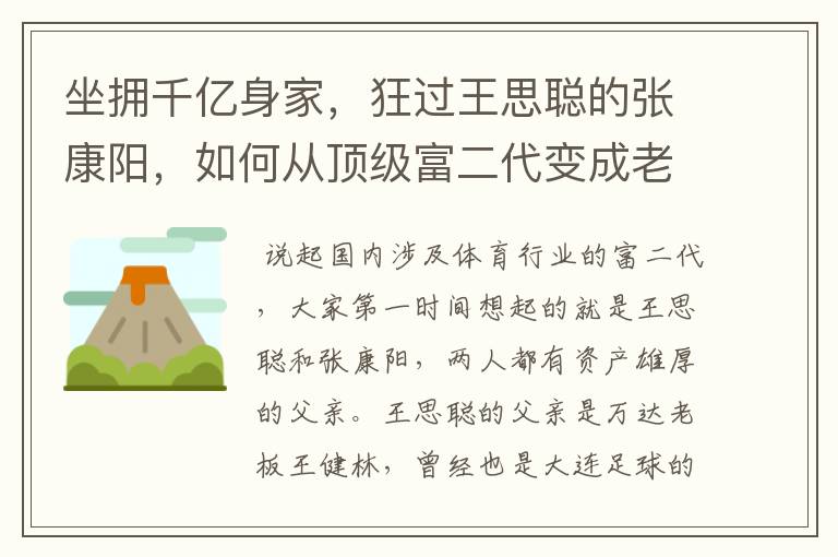 坐拥千亿身家，狂过王思聪的张康阳，如何从顶级富二代变成老赖？