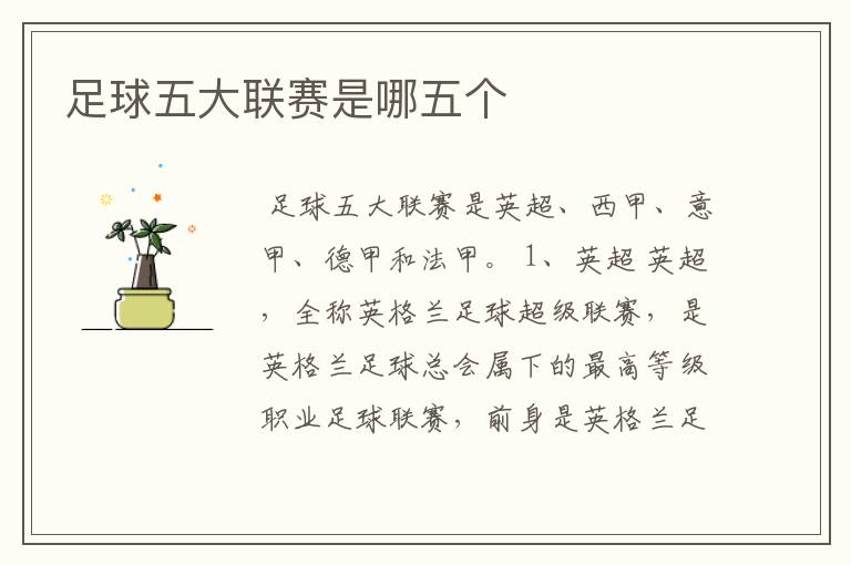 足球五大联赛是哪五个