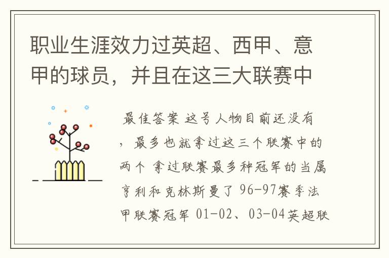 职业生涯效力过英超、西甲、意甲的球员,并且在这三大联赛中都拿到过联赛冠军的球员有吗?