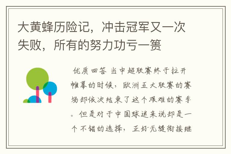 大黄蜂历险记,冲击冠军又一次失败,所有的努力功亏一篑