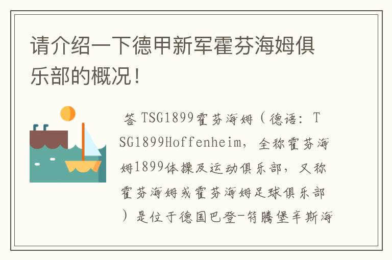 请介绍一下德甲新军霍芬海姆俱乐部的概况!
