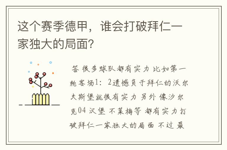 这个赛季德甲,谁会打破拜仁一家独大的局面?