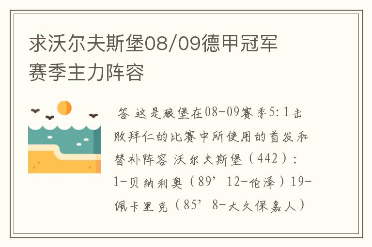 求沃尔夫斯堡08/09德甲冠军赛季主力阵容