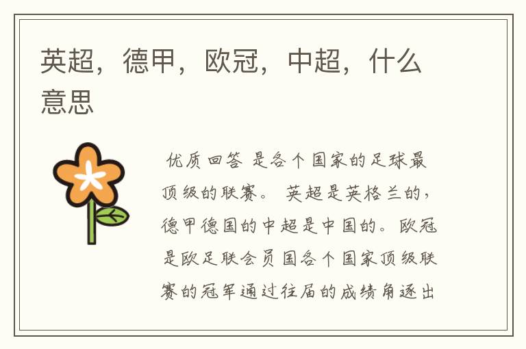 英超,德甲,欧冠,中超,什么意思