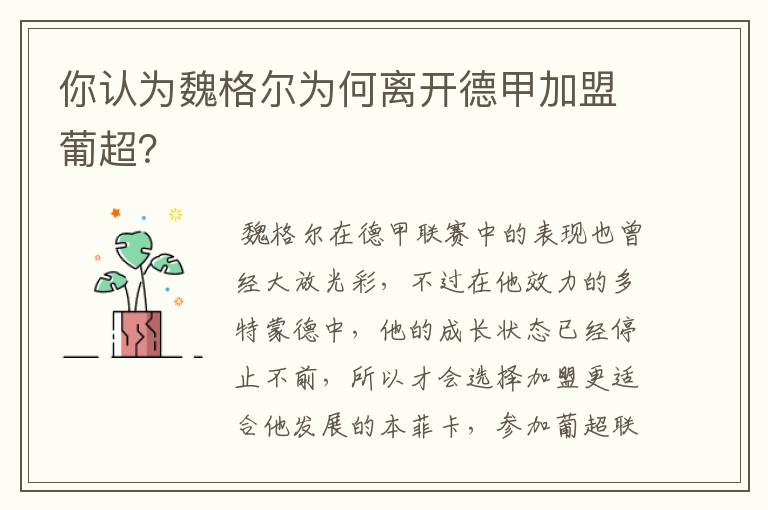 你认为魏格尔为何离开德甲加盟葡超?