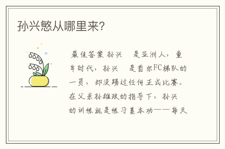 孙兴慜从哪里来?