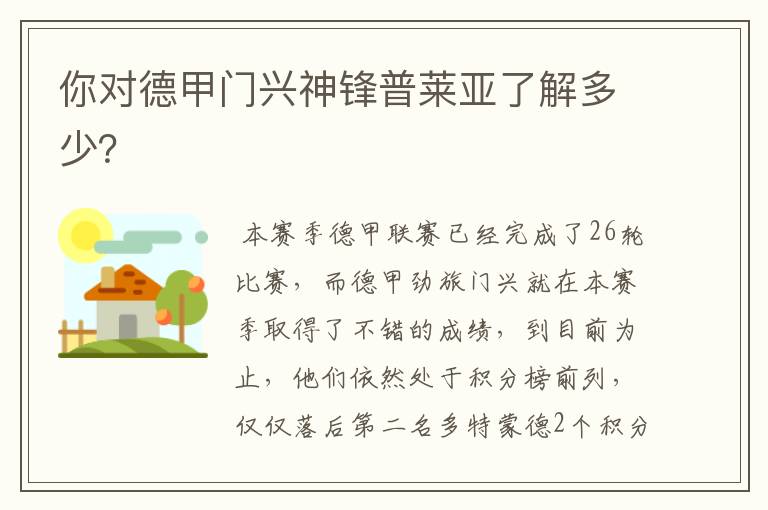 你对德甲门兴神锋普莱亚了解多少?