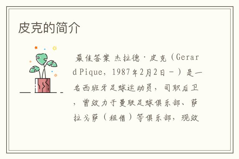 皮克的简介