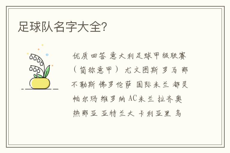 足球队名字大全?