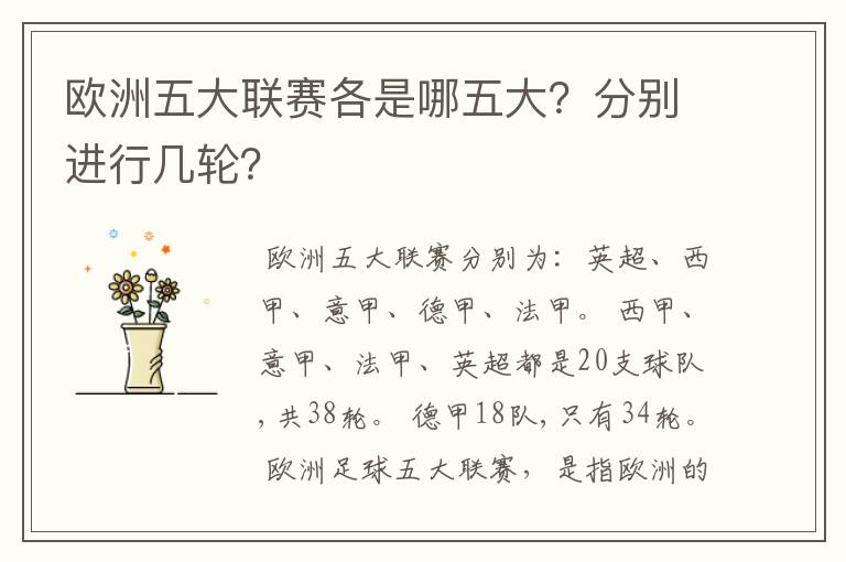 欧洲五大联赛各是哪五大?分别进行几轮?