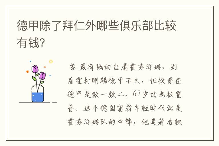 德甲除了拜仁外哪些俱乐部比较有钱?