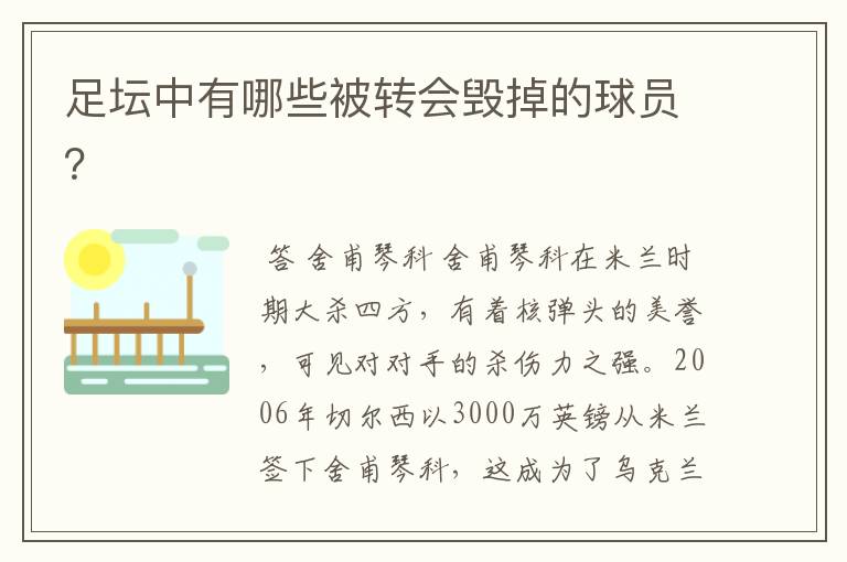 足坛中有哪些被转会毁掉的球员?