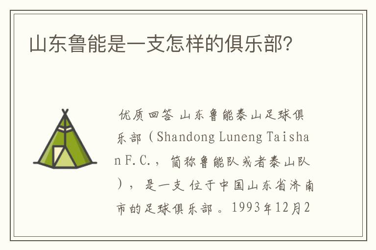 山东鲁能是一支怎样的俱乐部?