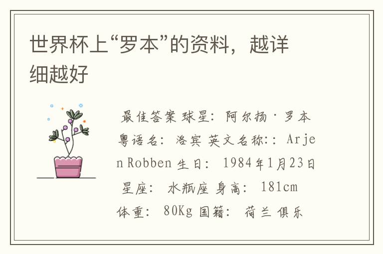 世界杯上“罗本”的资料,越详细越好