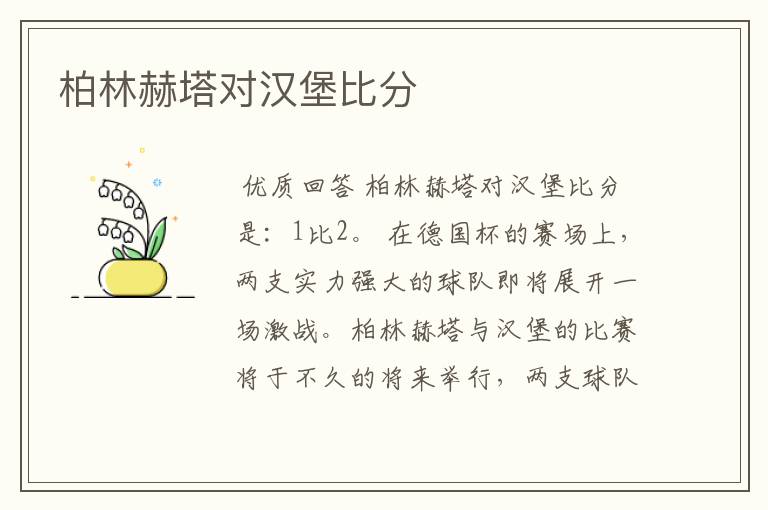 柏林赫塔对汉堡比分