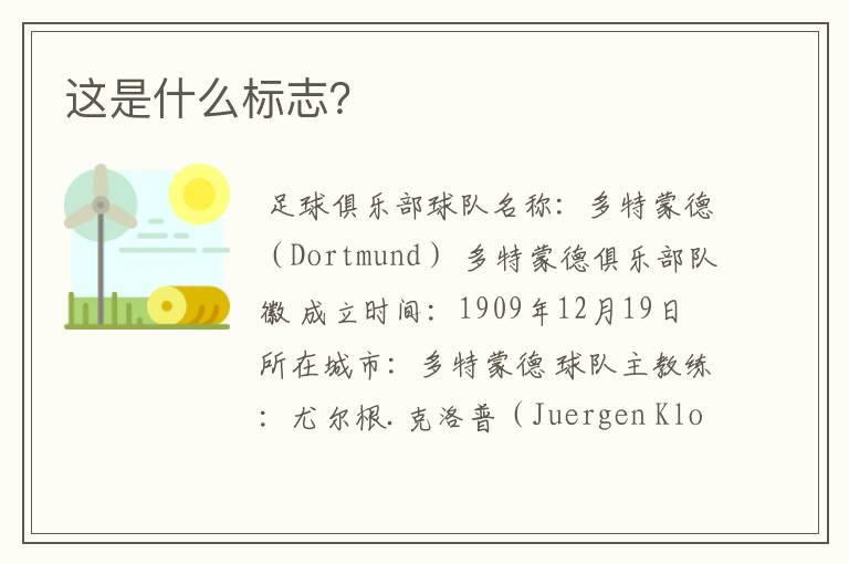 这是什么标志?