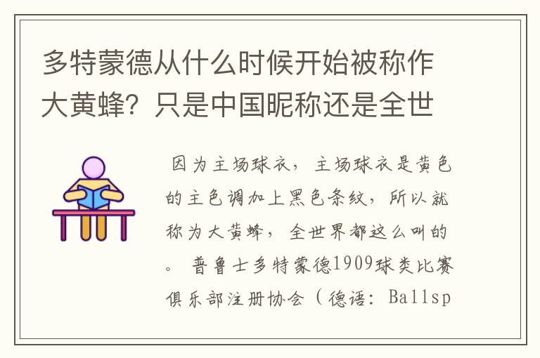 多特蒙德从什么时候开始被称作大黄蜂?只是中国昵称还是全世界范围都这么称呼