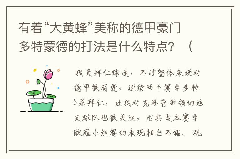 有着“大黄蜂”美称的德甲豪门多特蒙德的打法是什么特点?(请多特蒙德资深球迷回答)