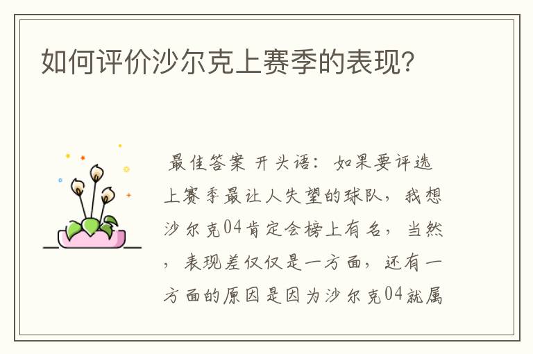 如何评价沙尔克上赛季的表现?