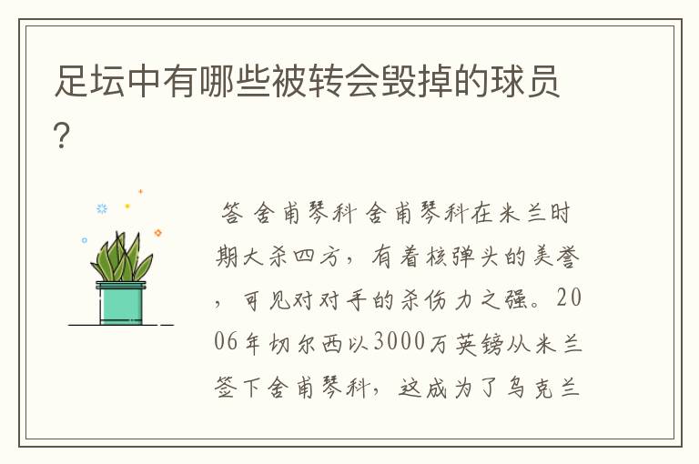 足坛中有哪些被转会毁掉的球员?