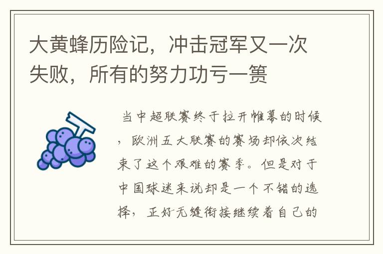 大黄蜂历险记,冲击冠军又一次失败,所有的努力功亏一篑