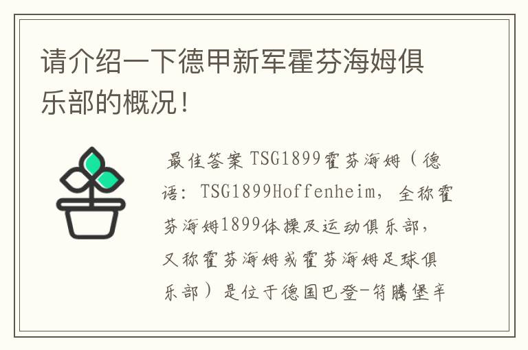 请介绍一下德甲新军霍芬海姆俱乐部的概况!