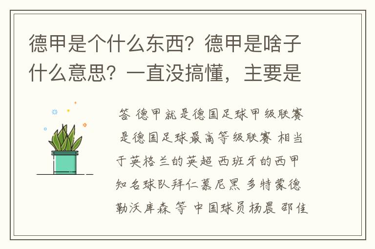 德甲是个什么东西?德甲是啥子什么意思?一直没搞懂,主要是我平时基本不看德甲呀,足球什么的。?推荐一下