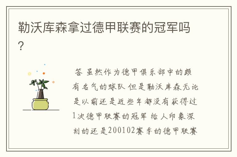勒沃库森拿过德甲联赛的冠军吗?