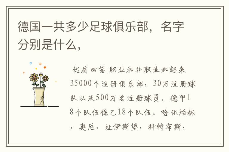 德国一共多少足球俱乐部,名字分别是什么,