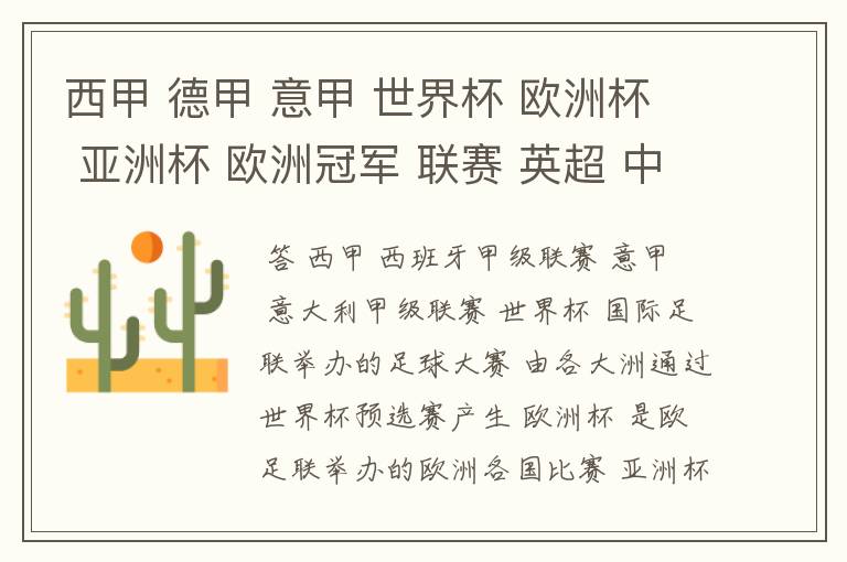 西甲 德甲 意甲 世界杯 欧洲杯 亚洲杯 欧洲冠军 联赛 英超 中超 分别是什么意思啊?