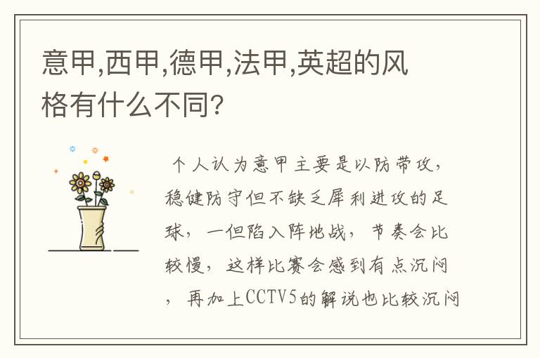 意甲,西甲,德甲,法甲,英超的风格有什么不同?