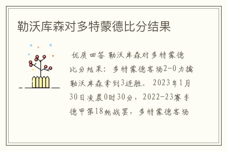勒沃库森对多特蒙德比分结果