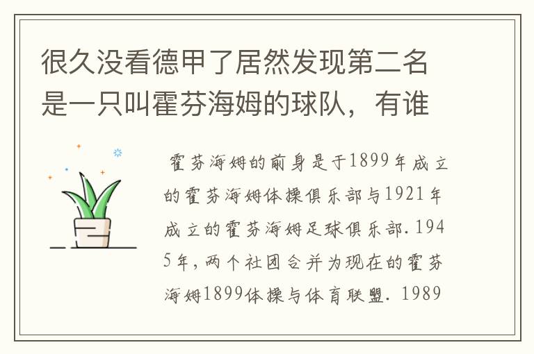 很久没看德甲了居然发现第二名是一只叫霍芬海姆的球队,有谁知道吗