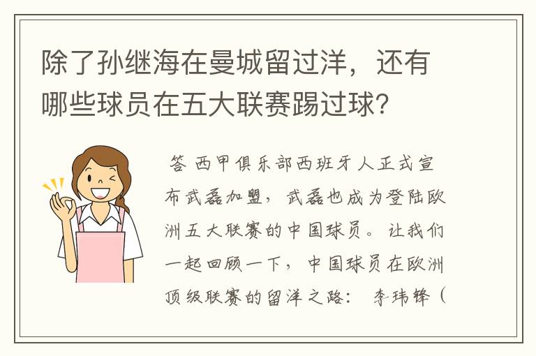 除了孙继海在曼城留过洋,还有哪些球员在五大联赛踢过球?