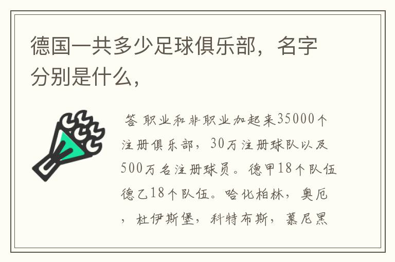 德国一共多少足球俱乐部,名字分别是什么,