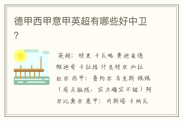 德甲西甲意甲英超有哪些好中卫?