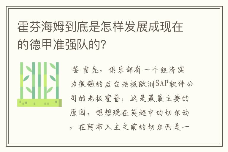 霍芬海姆到底是怎样发展成现在的德甲准强队的?