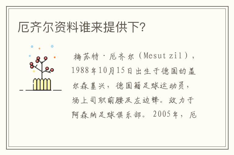 厄齐尔资料谁来提供下?